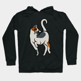 Begging for Pettings--Calico Style Hoodie